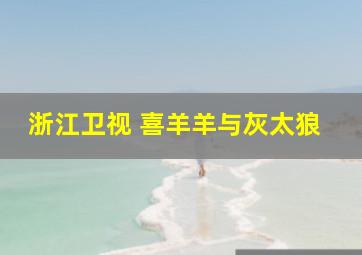 浙江卫视 喜羊羊与灰太狼